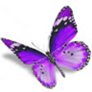 Meet your Posher, Sarah pruitt